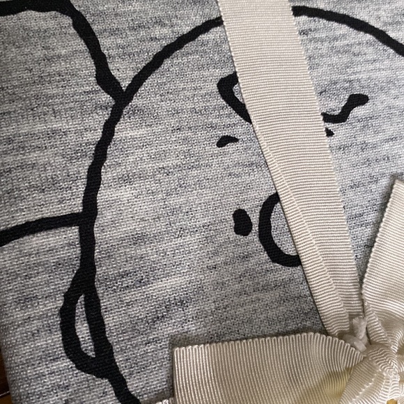 Pottery Barn Teen Peanuts Charlie Brown and Gang “Squad” Cotton Wall Tapestry - Picture 5 of 13